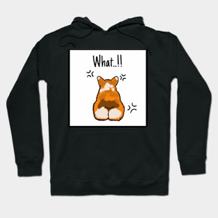 Dog Welsh Corgi What ...!! Hoodie